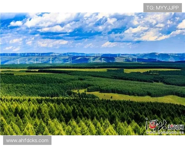 绿动浙江:体育经济的生态突围